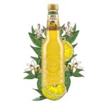 Galvanina Bio Ice Tea Lemon 355gr