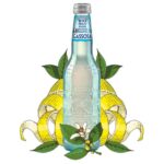 Galvanina Fruit Bio Gassosa 355ml