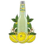 Galvanina Fruit Bio Limonata 355ml
