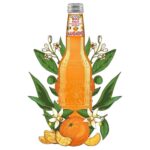 Galvanina Fruit Bio Mandarino 355ml
