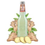 Galvanina Fruit Bio Ginger Ale 355ml