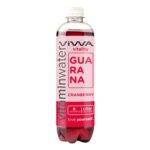 Viwa Vitality Cranberry 600ml