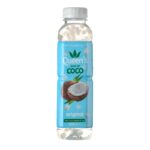 Queen's Nata De Coco Original 500ml