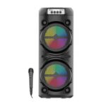 Ασύρματο Ηχείο Καραόκε - Ενσωματωμένο Μικρόφωνο ZQS6223 - Black