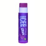 Lip Balm ICEE Grape 4gr
