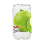 OKF Sparkling Cococnut Drink 350ml